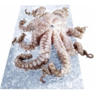Pulpo 10.99 €