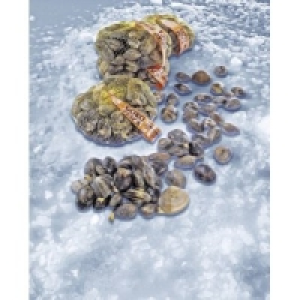Teppichmuschel Vongole Verace 6.49 €