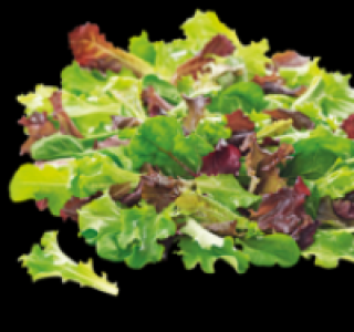 Pflücksalat 0.69 €