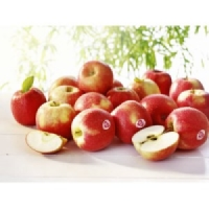 &Auml;pfel Pink Lady 3.99&nbsp;&euro;