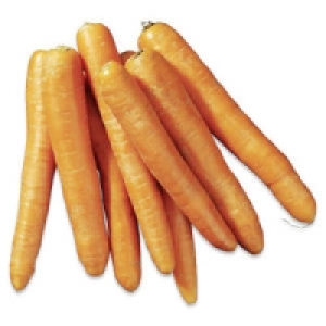 Spanien Speisem&ouml;hren 0.99&nbsp;&euro;