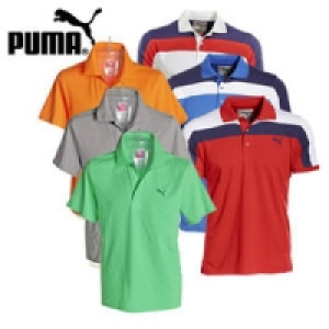 Poloshirt 19.99 €