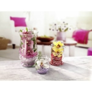 Cymbidien Gestecke 3.99 €