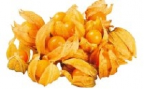 Physalis 0.89 €