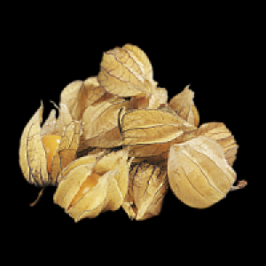 Physalis 0.79 €