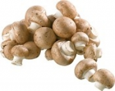 Bio-Steinchampignons 0.79 €