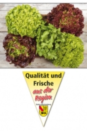 Filderstädter Bunte Salate 0.59 €
