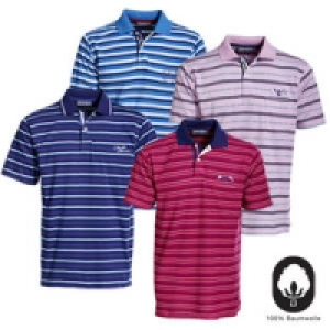 Herren-Poloshirt 15.99 €