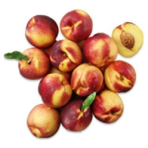 Spanien Nektarinen 2.99 €