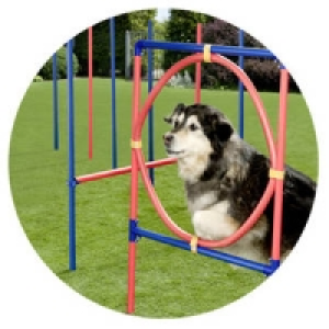 Hunde-Trainings-Set