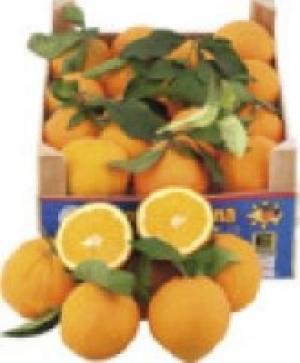 Orangen 1.49 €