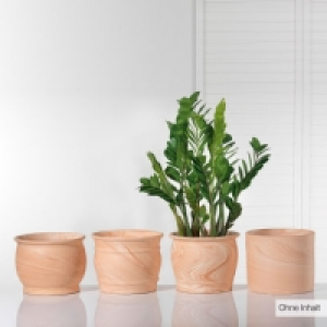 Übertopf 8.99 €