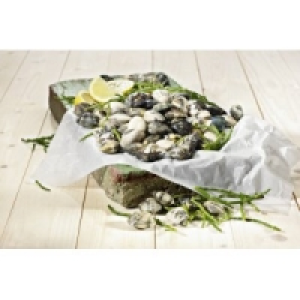 Teppichmuschel Vongole Verace 6.99 €