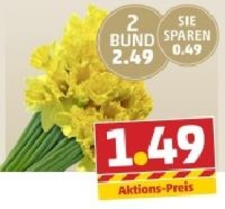 Wunderschöne Narzissen