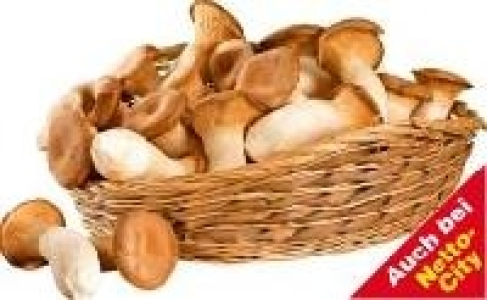 Kräuterseitlinge 1.99 €