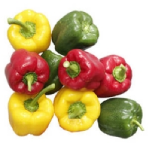 Niederlande Paprika rot, gelb oder gr&uuml;n 2.99&nbsp;&euro;