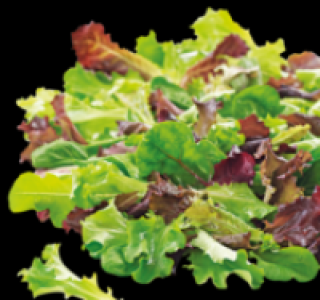 Pflücksalat 0.69 €