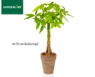 GARDENLINE&reg;Pflanzenrarit&auml;t