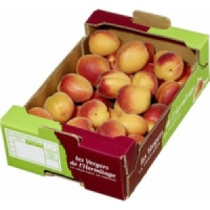 Aprikosen 3.99 €
