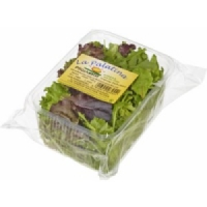 Pflücksalat 0.79 €