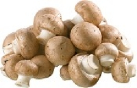 Bio-Steinchampignons 0.79 €