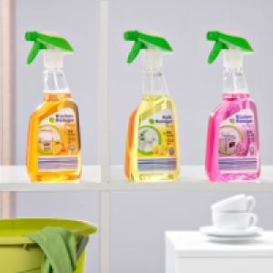 Bio Küchen-/Kalk-Reiniger 1.49 €