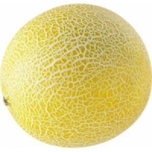 Galia-/Honigmelonen
