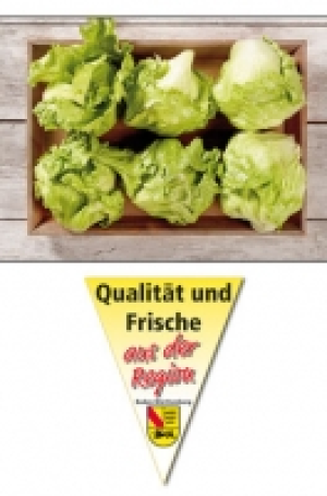 Filderstädter Eisbergsalat 0.49 €