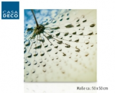 CASA DECO&reg;Dekoratives Glasbild