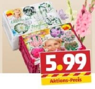 Blumenzwiebeln 5.99 €