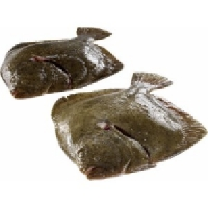 Steinbutt 13.99 €