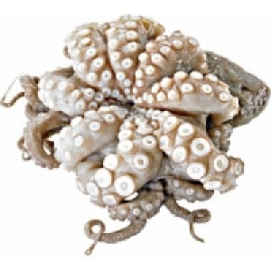 Krake/Pulpo