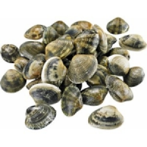 Teppichmuschel Vongole Verace 6.99 €