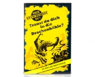 Buch Hier entscheidest du!