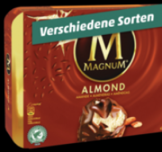 LANGNESE Magnum Eis 1.99&nbsp;&euro;