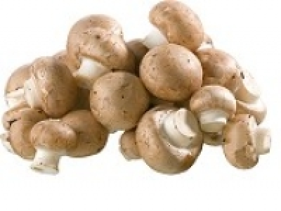 Bio-Steinchampignons 0.79 €