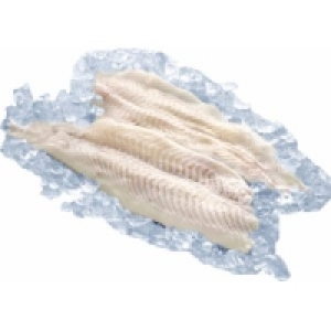 MSC Schollenfilet 13.99 €