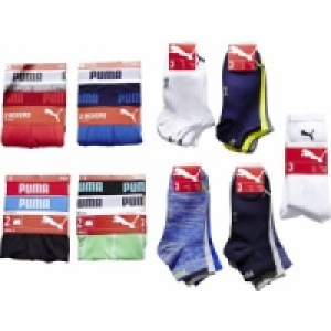 2er Pack Herren Pant 9.99 €