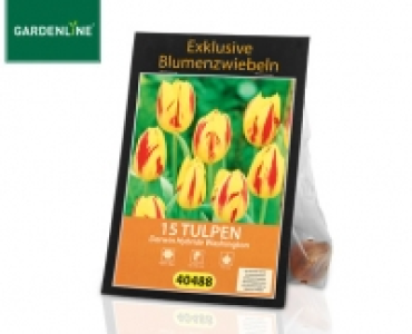 GARDENLINE®Exklusive Herbst-Blumenzwiebeln