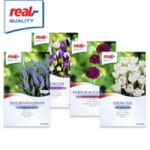 Blumenzwiebeln 1.49 €