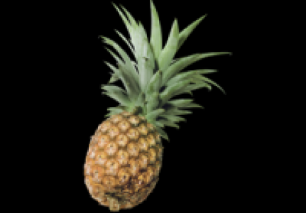 Ananas 1.99 €