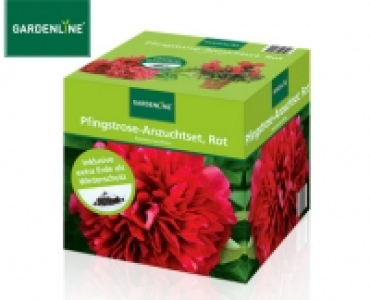 GARDENLINE®Pfingstrose-Anzuchtset