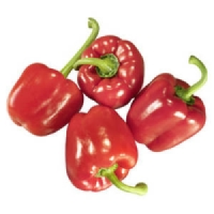 Spanien/Niederlande Paprika, rot 1.29&nbsp;&euro;
