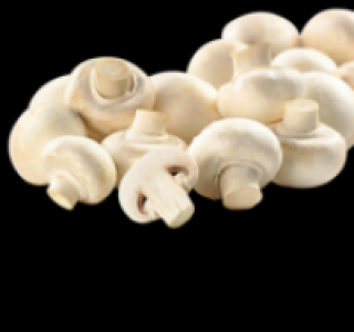 Weiße Champignons 1.11 €