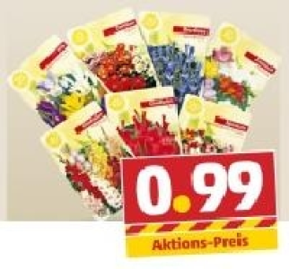 Blumenzwiebeln 0.99 €