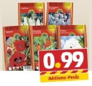 Stauden 0.99 €