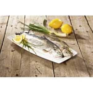 Regenbogenforelle 7.99 €