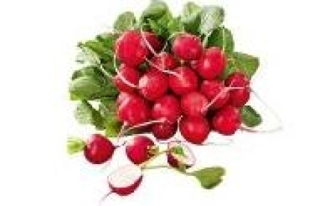 Radieschen 0.49 €