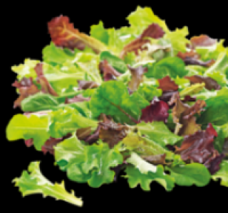 Pflücksalat 0.69 €