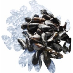 Miesmuscheln 11.99 €